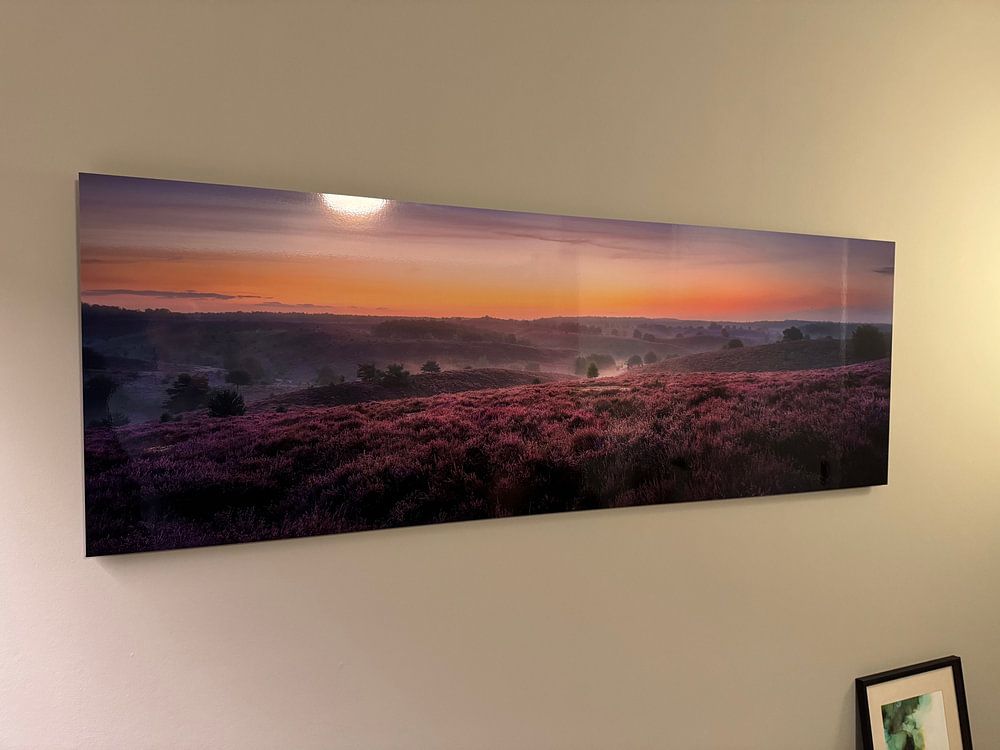 August heather fields  by Jeroen Lagerwerf 