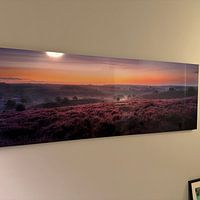 Photo de nos clients: Champs de bruyère d'août par Jeroen Lagerwerf, sur alu-dibond