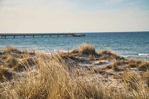 Groyne in Zingst aan de Baltische Zee, die in zee reikt.