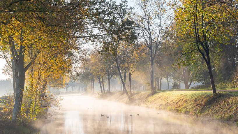 nebliger Morgen von snippefotografie