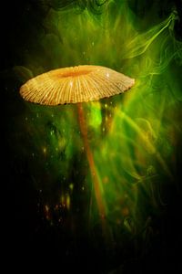 fairytale