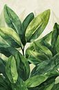 watercolor plant by haroulita thumbnail