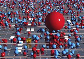 La hiérarchie de l'alpha