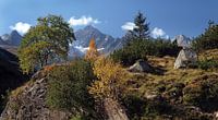 Beginnend herfst Silvrettapas Oostenrijk