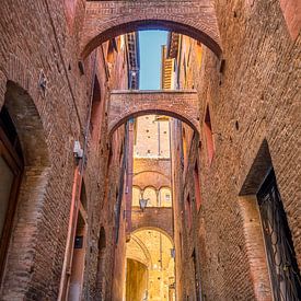 Labyrinth von Bram de Jong