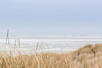 Winterlicht auf See auf Terschelling