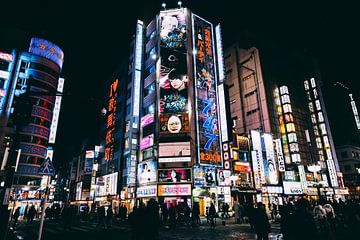 Shinjuku bij Nacht: Tokyo's Neon Jungle van Ken Tempelers