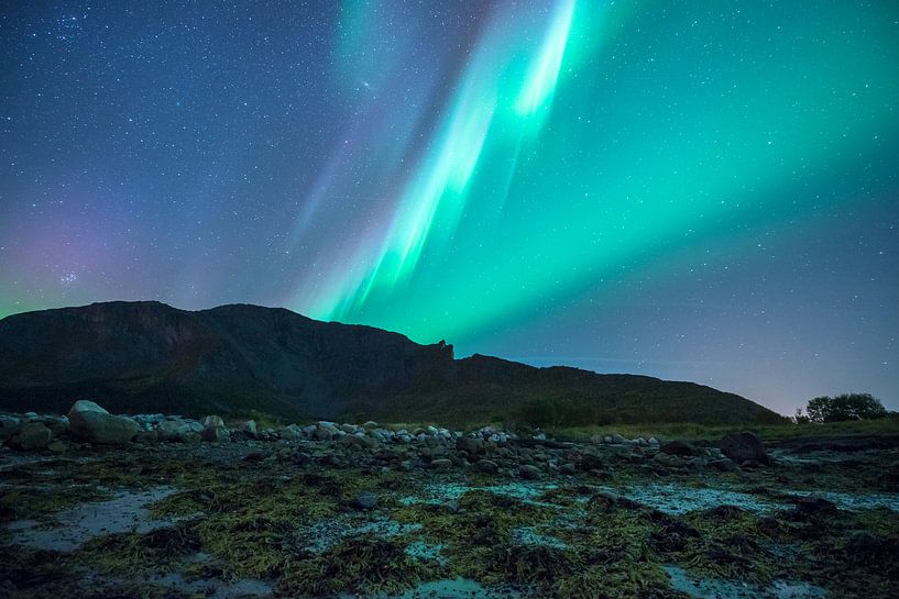 Green purple and blue by Marc Hollenberg