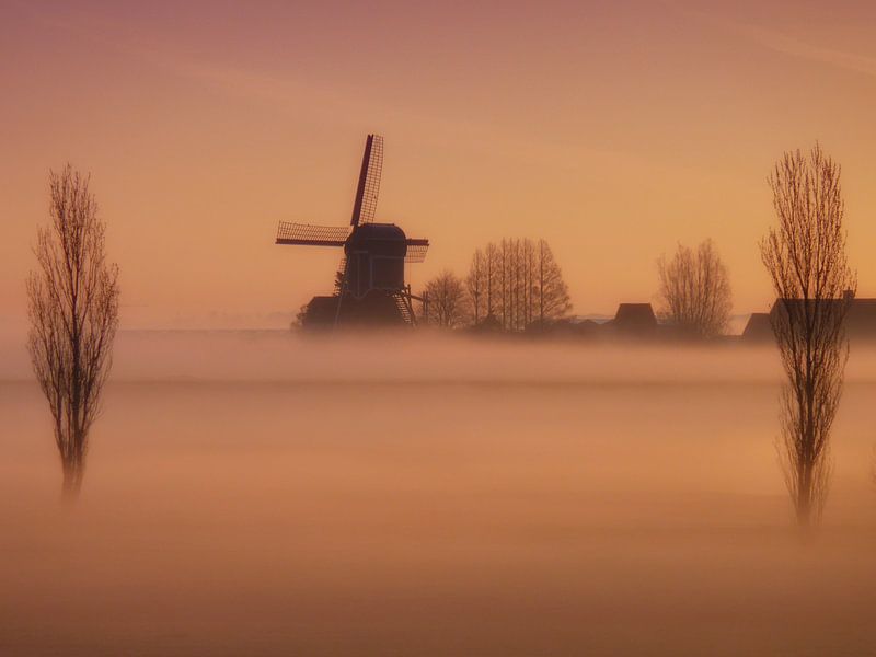 Mühle im Nebel von Tammo Strijker