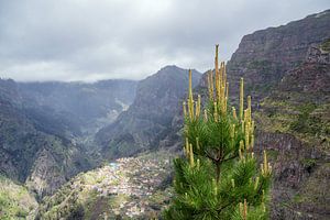 Blick auf das Nonnental auf der Insel Madeira, Portugal