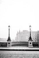 Bridge over the Seine with lanterns in Paris in black and white