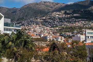 Funchal, Madeira van Peter Schickert