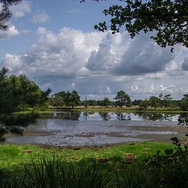 Hollands landschap van Jasper Los