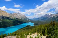 Betoverend Peyto Lake - Het Juweel van de Canadese Rockies