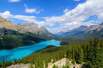 L'enchantement du lac Peyto - Le joyau des Rocheuses canadiennes