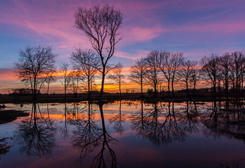 Zonsondergang op de Veluwe