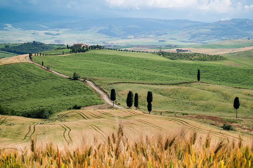 Val d'Orcia in der Toskana von Mark Bolijn