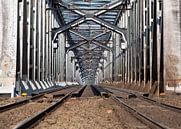 Eisenbahnbrücke Dordrecht- Moerdijk Prorail von Kuifje-fotografie Miniaturansicht