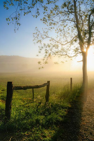 Sunrise with fog by Thijs Friederich