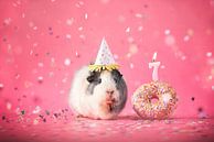 Geburtstags-Meerschweinchen von Marloes van Antwerpen Miniaturansicht