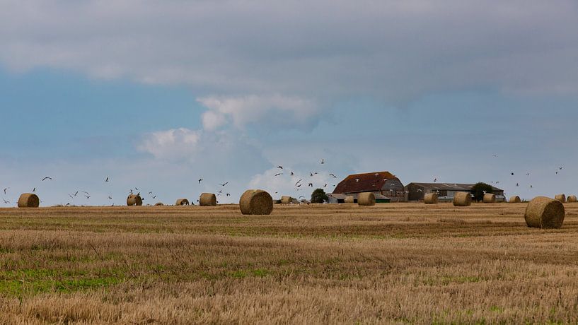 Boerderij op heuvel in Engeland omringd door hooibalen von Anneke Hooijer