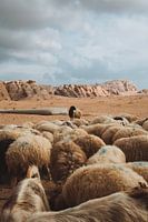 Jordanien