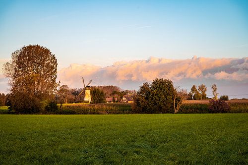 Van Vlaenderensmolen , Vinderhoute von Nico D'hont