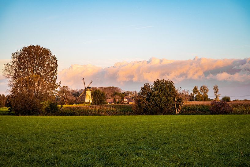 Van Vlaenderensmolen , Vinderhoute by Nico D'hont