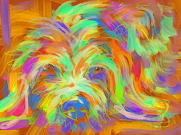 Hund Matze