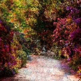 Follow this way please von Andreas Wemmje