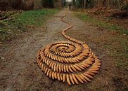 3D Spiral by Mies Heerma thumbnail