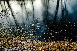 Spiegelung verträumte Bäume im Winter