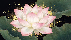 Golden Japanese Celestial Lotus Bloom by Siti Zuliana