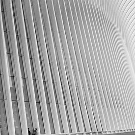 L'Oculus en gros plan - New York sur Tim Vlielander