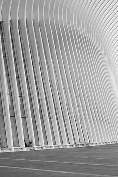 L'Oculus en gros plan - New York