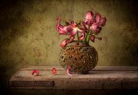 Nature morte 52