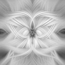 Abstracte Photoshop creatie van Henk Meijer Photography thumbnail