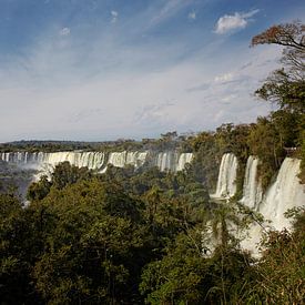 Das Gebiet der Iguazu Falls besteht aus etwa 275 Wasserfällen im Iguazu River. von Tjeerd Kruse