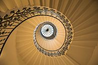 Tulp stairs by Davy Reitsma thumbnail
