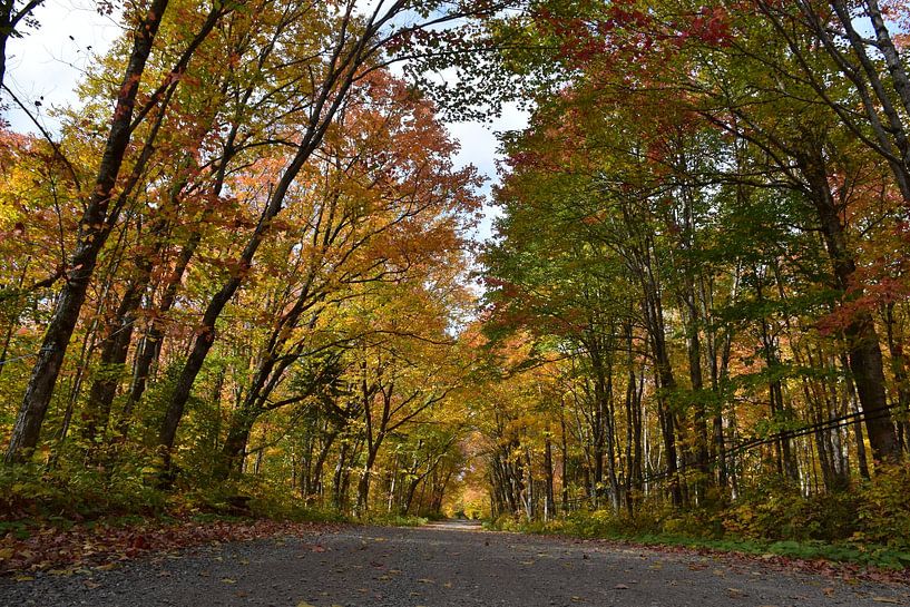 A deserted road in autumn by Claude Laprise