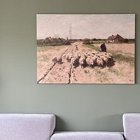 Kundenfoto: Schaf in der Landschaft, Anton Mauve, auf leinwand