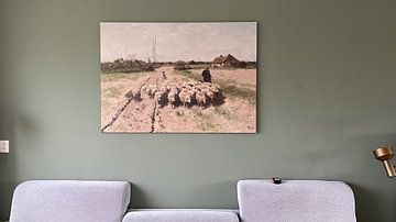 Customer photo: Sheep in Landscape, Anton Mauve