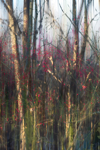 Wandeling in een herfstlandschap