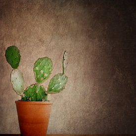 Ein kleiner grüner Kaktus.... von Vera Kämpfe
