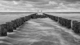 Naar het midden van Desirée Couwenberg