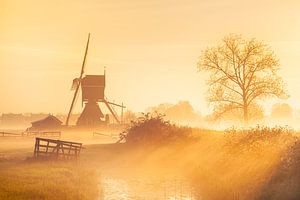 Goldener nebliger Morgen