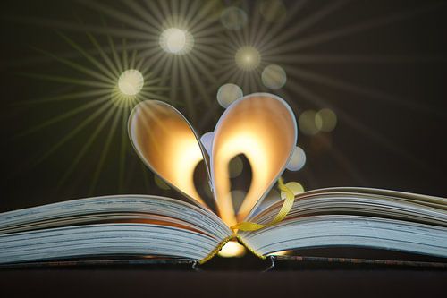 Opengeslagen boek met bladzijden, tot op het hart geslagen
