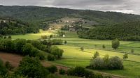 Tuscan hills