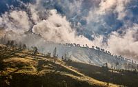 Mountain Myst