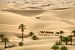 Le désert du Sahara. Bédouins avec des chameaux sur Frans Lemmens